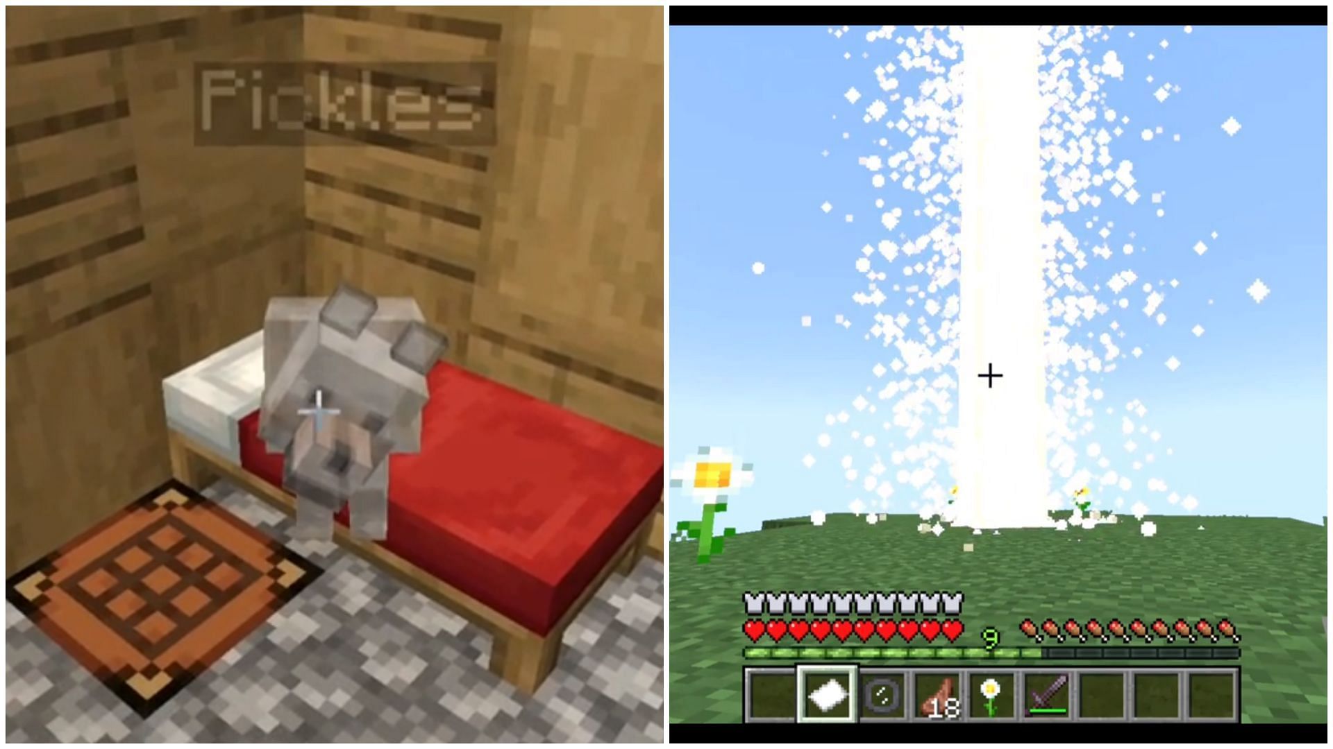 Minecraft Redditor showcases an emotional data pack that lets one see their dead dog once again (Image via Reddit/u/ConRadMC02) 