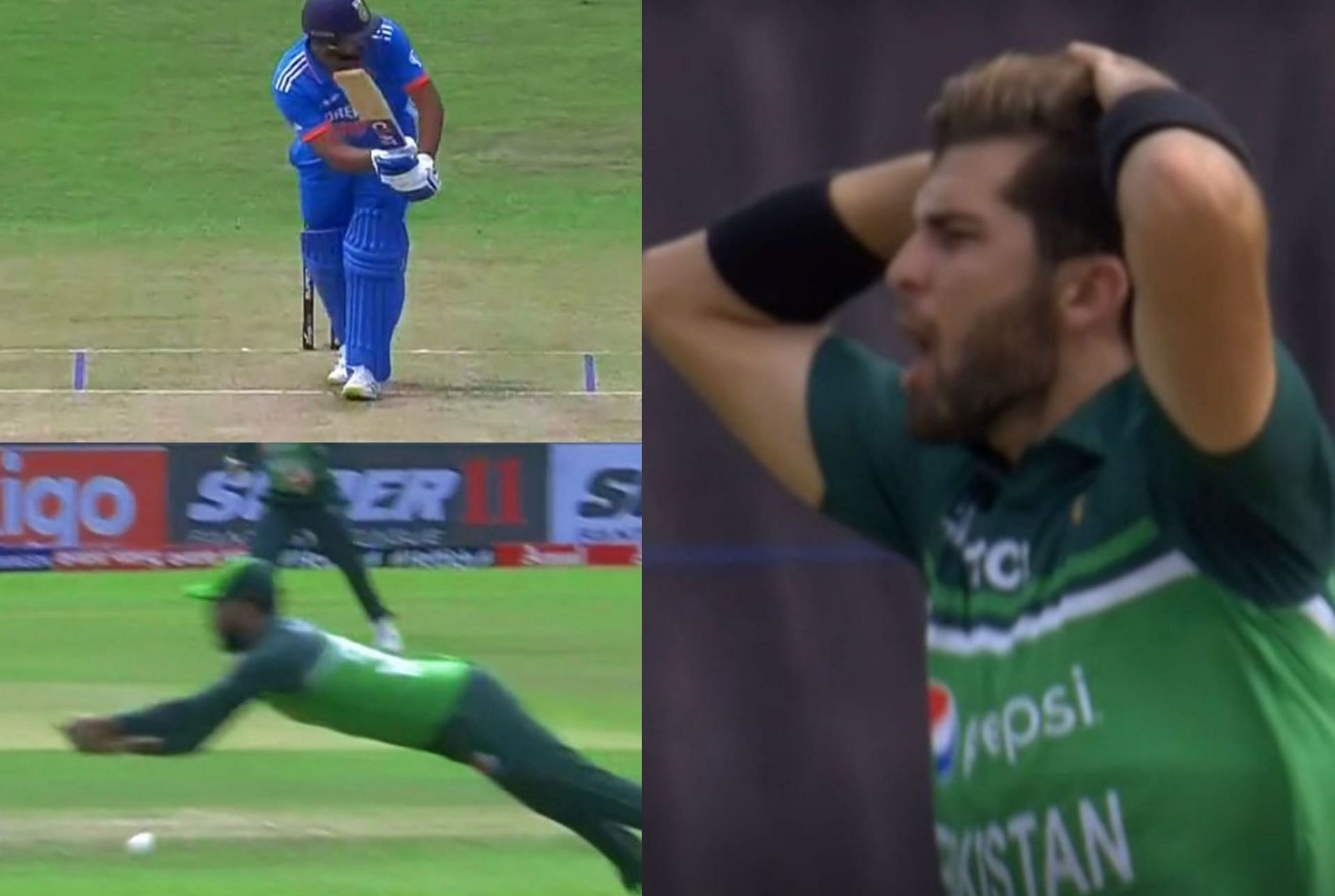 Shaheen Afridi disappointed after Zaman failed to hold on to the catch. 