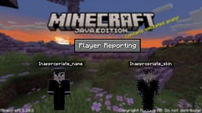 Minecraft 1.20.2 update added player skin and name report system