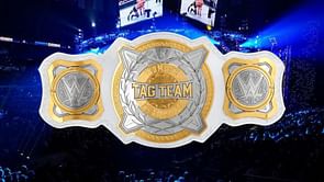 Potential update on former WWE Women's Tag Team Champion's in-ring status - Reports