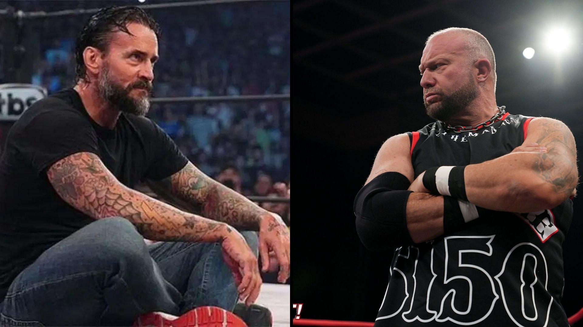 CM Punk and Bully Ray are both former WWE Superstars