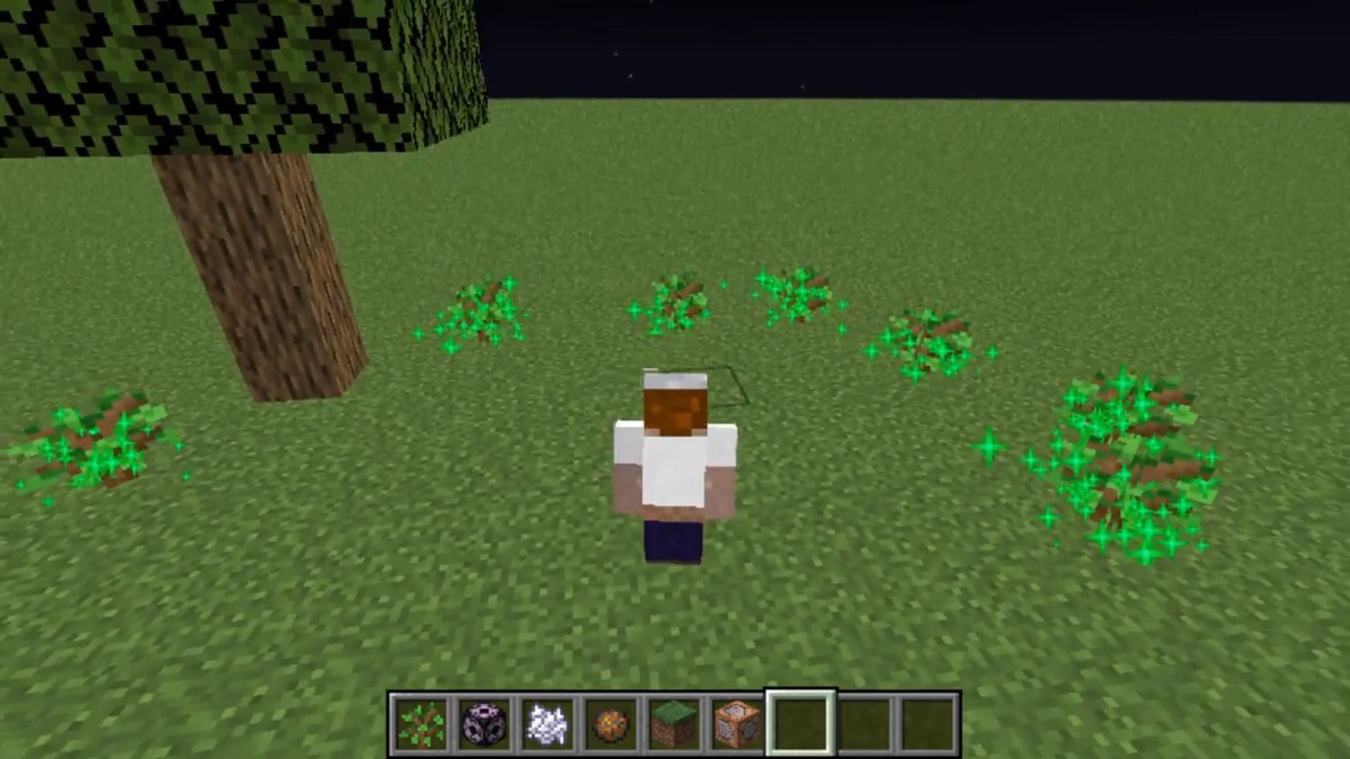 Twerk sim mod enables trees to grow when players twerk near them in Minecraft (Image via Reddit/u/HoboMaggot)