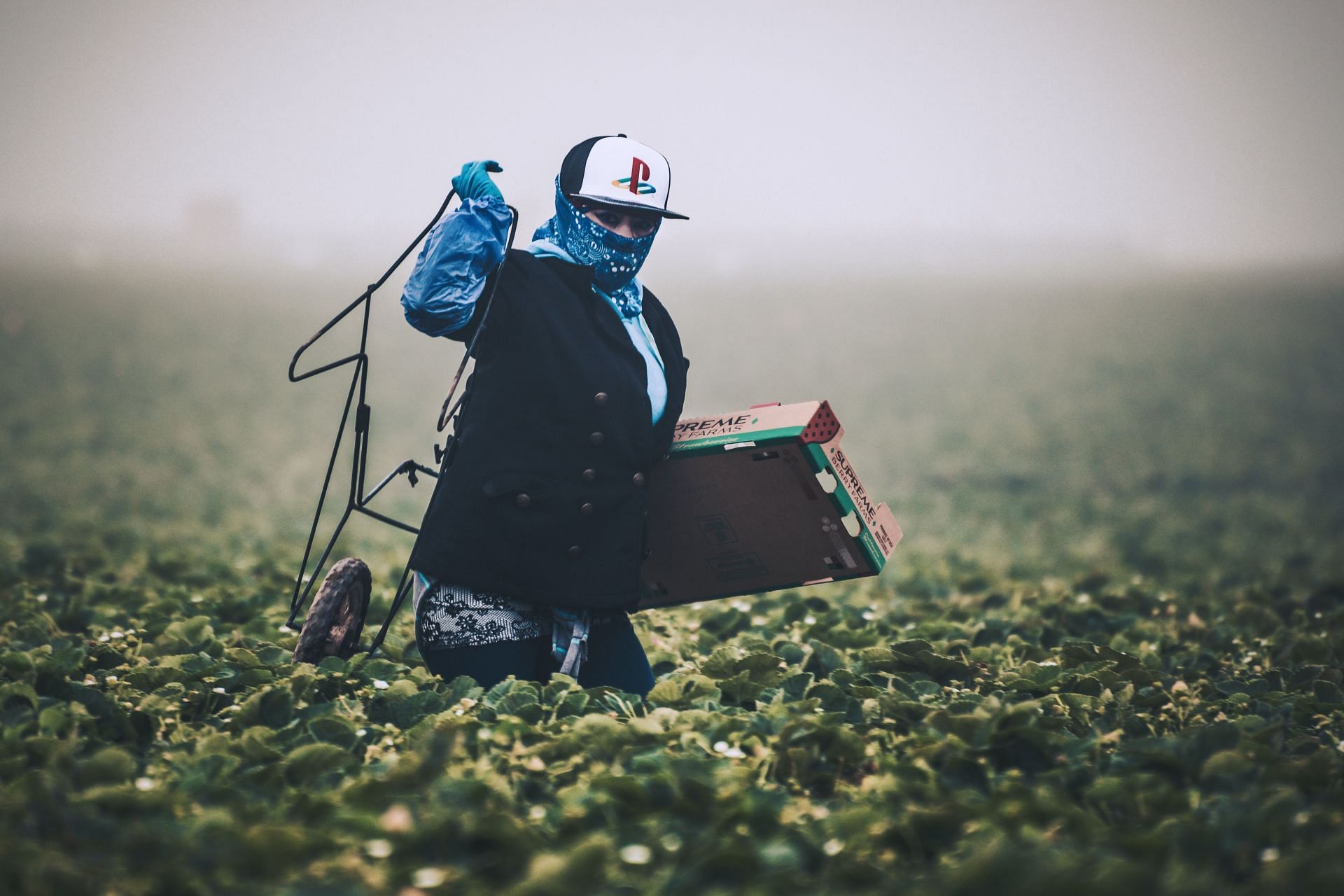 More the physical labor, greater an indiviual at risk of developing memory problems (Image via Unsplash / Tim M)