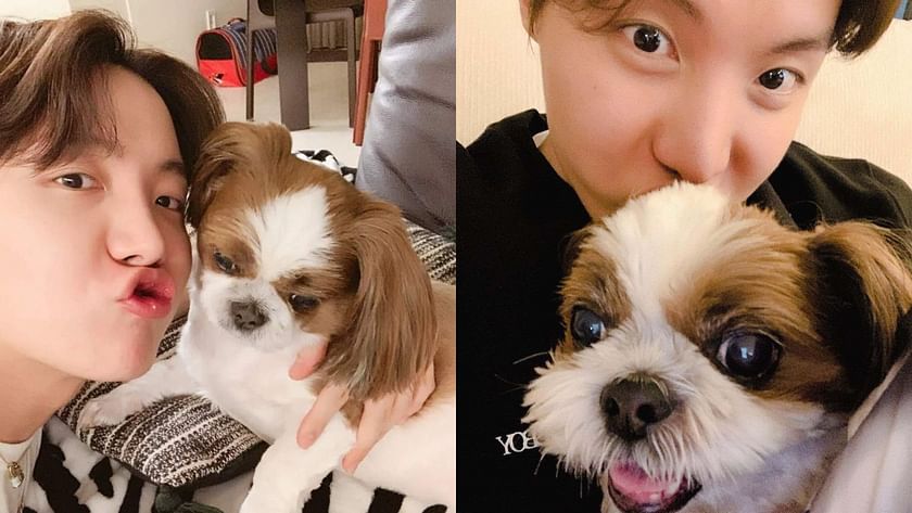 J-hope: BTS member J-Hope's fan slammed by former South Korean