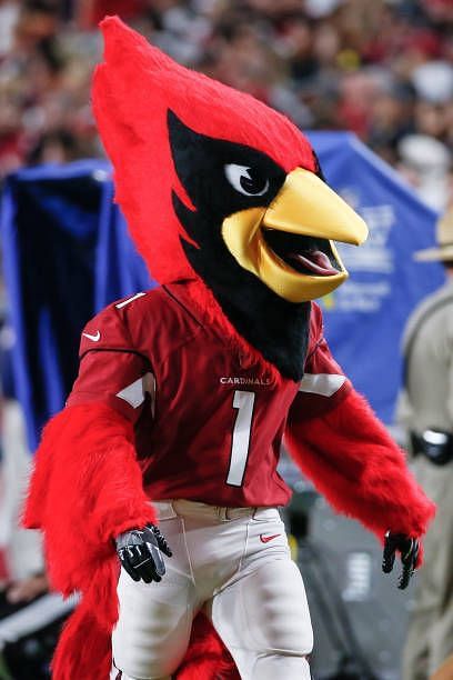Arizona Cardinals Mascot Big Red