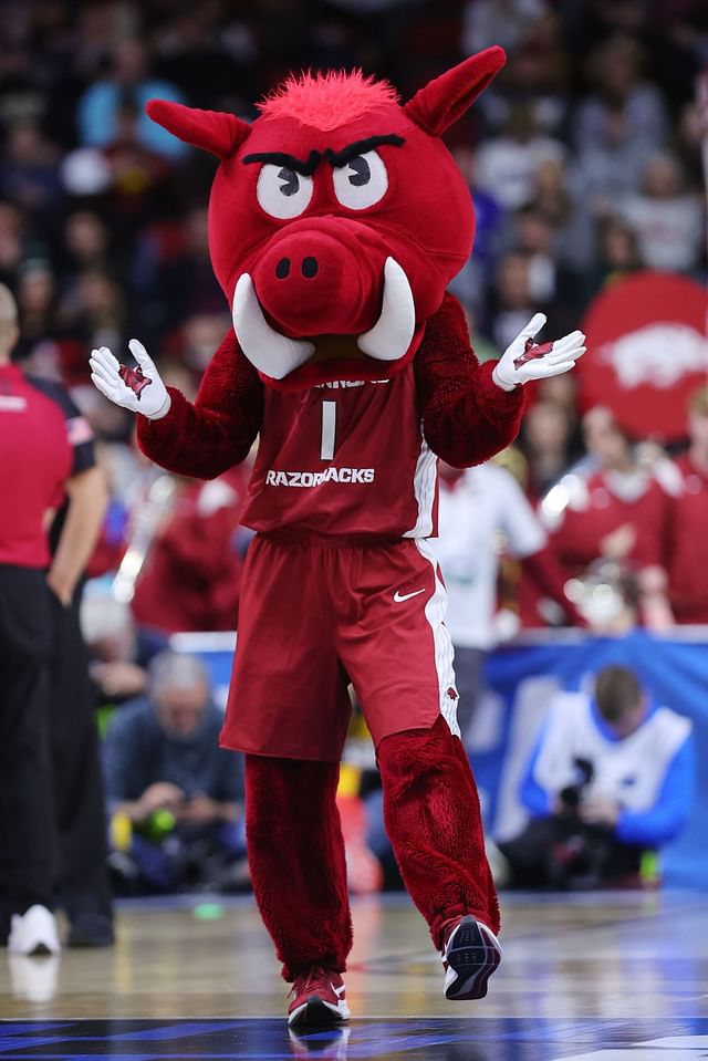 How many razorback mascots has arkansas had 