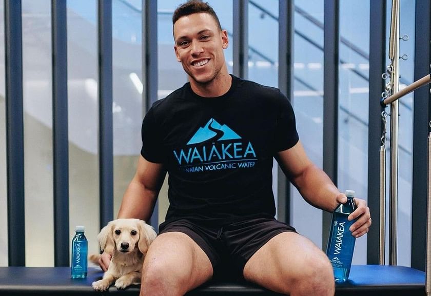 physique aaron judge muscles