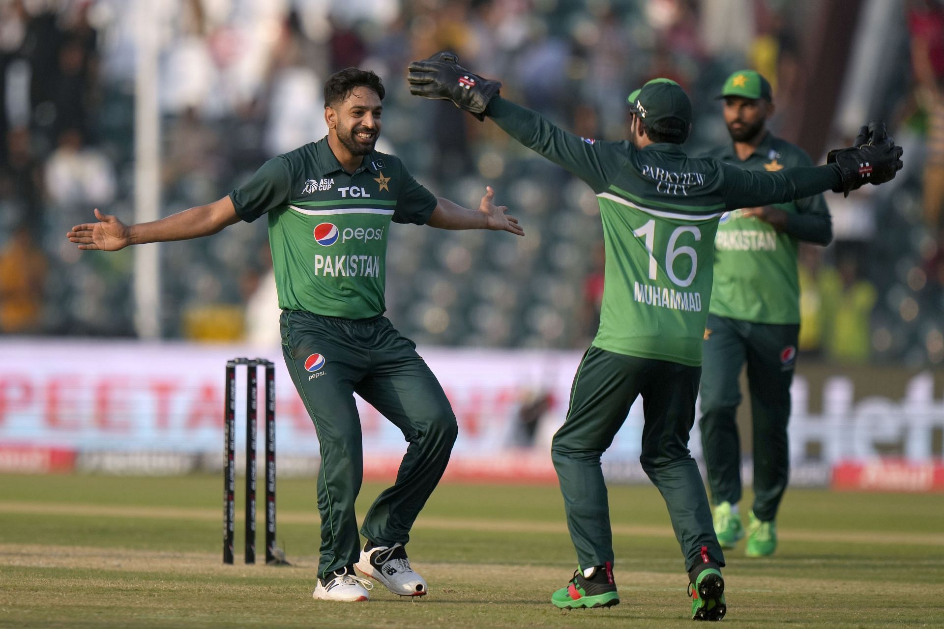 Haris Rauf celebrating vs Bangladesh [Getty Images]