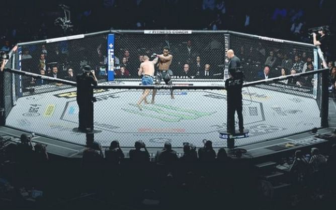 UFC's Instagram royalty: Top 3 most followed champions unveiled