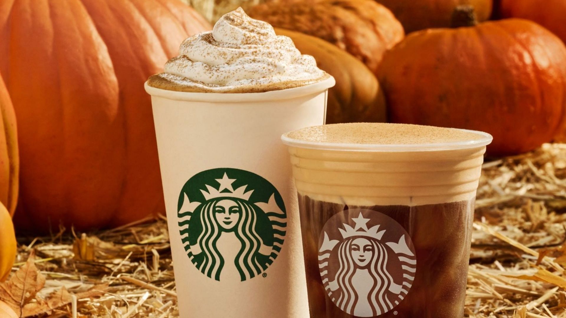 Starbucks BOGO fall drinks offer 2023 How to avail, qualifying items