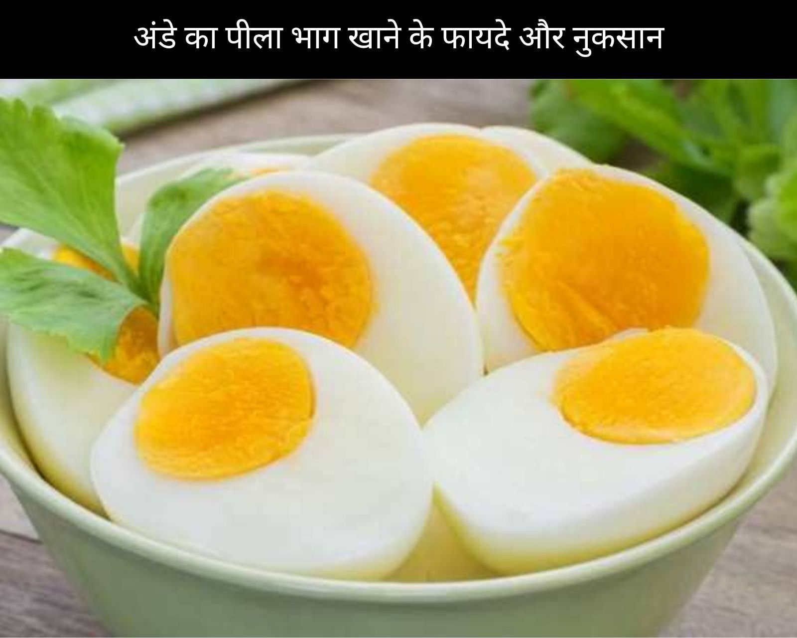 अंडे का पीला भाग खाने के 5 फायदे और 5 नुकसान (फोटो - sportskeedaहिन्दी)