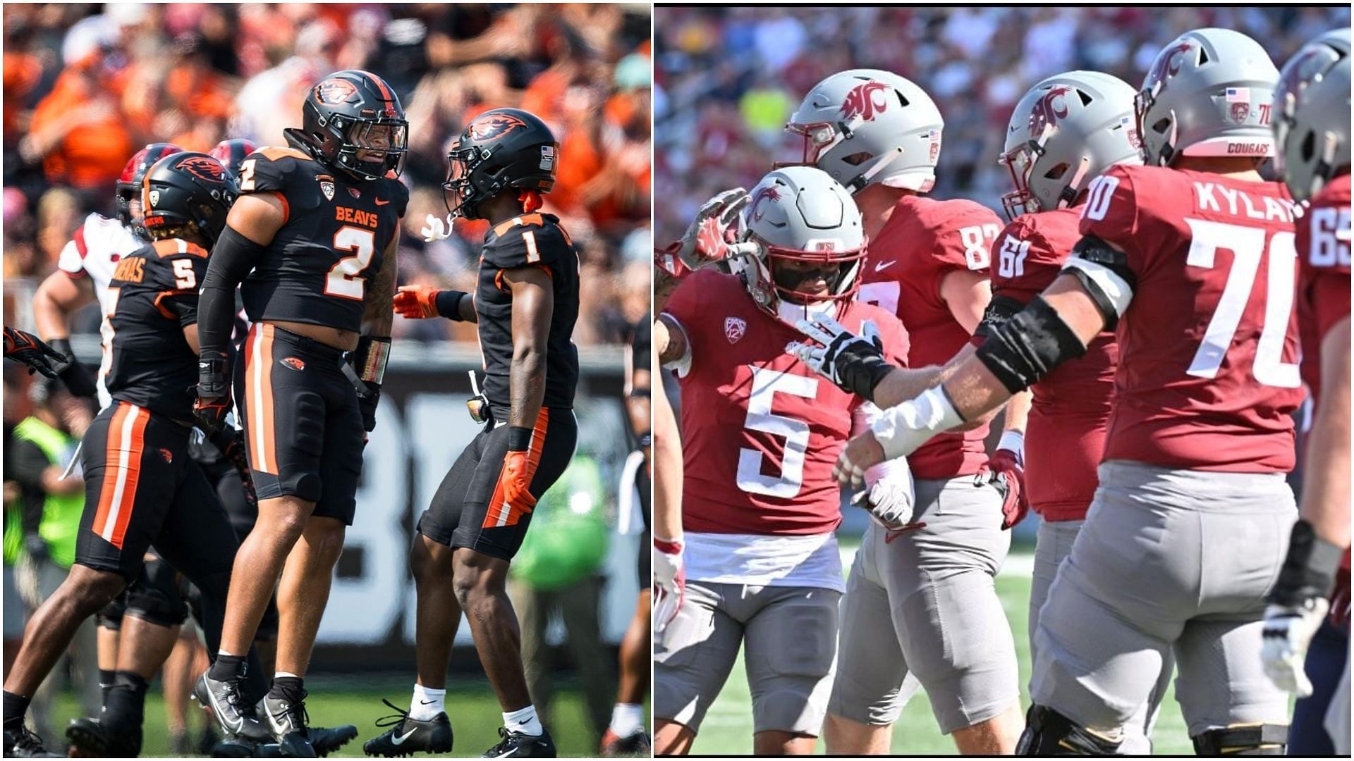 The Oregon State Beavers will clash with the Washington State Cougars on the weekend