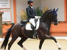 Indian Equestrian team bags historic gold in dressage in 41 years at Asian Games 2023