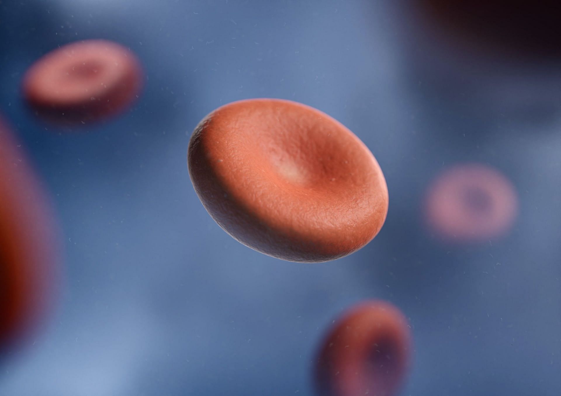 Healthy blood regulation (Image via Unsplash/THAVIS 3D)