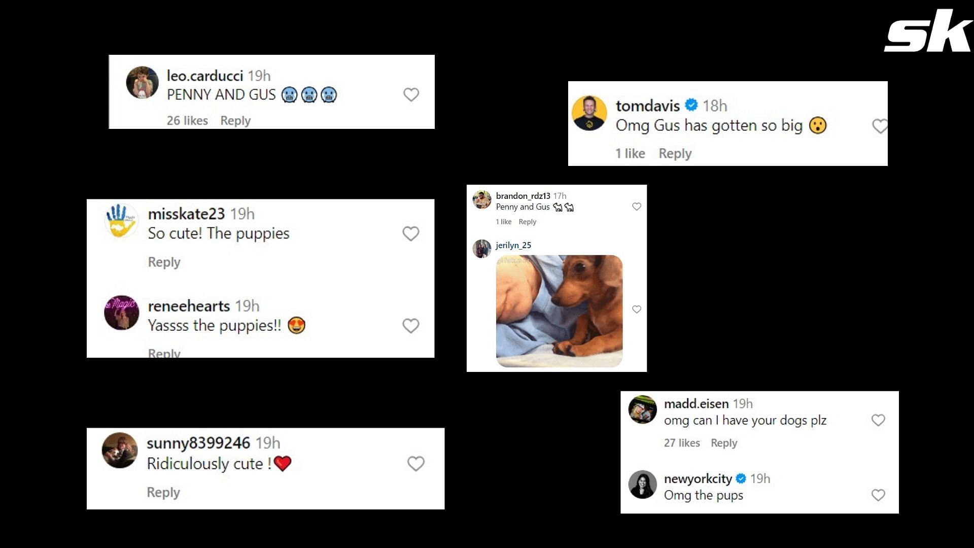 Fans react to photoshoot featuring Aaron Judge and his puppies