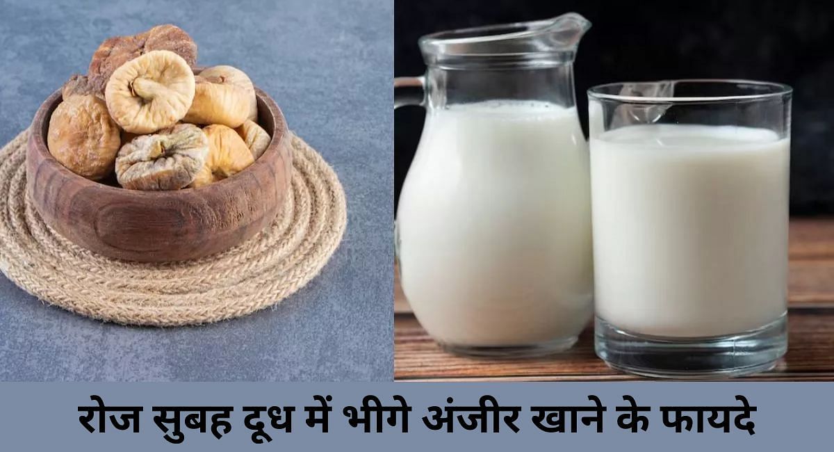रोज सुबह दूध में भीगे अंजीर खाने के फायदे(फोटो-Sportskeeda hindi)