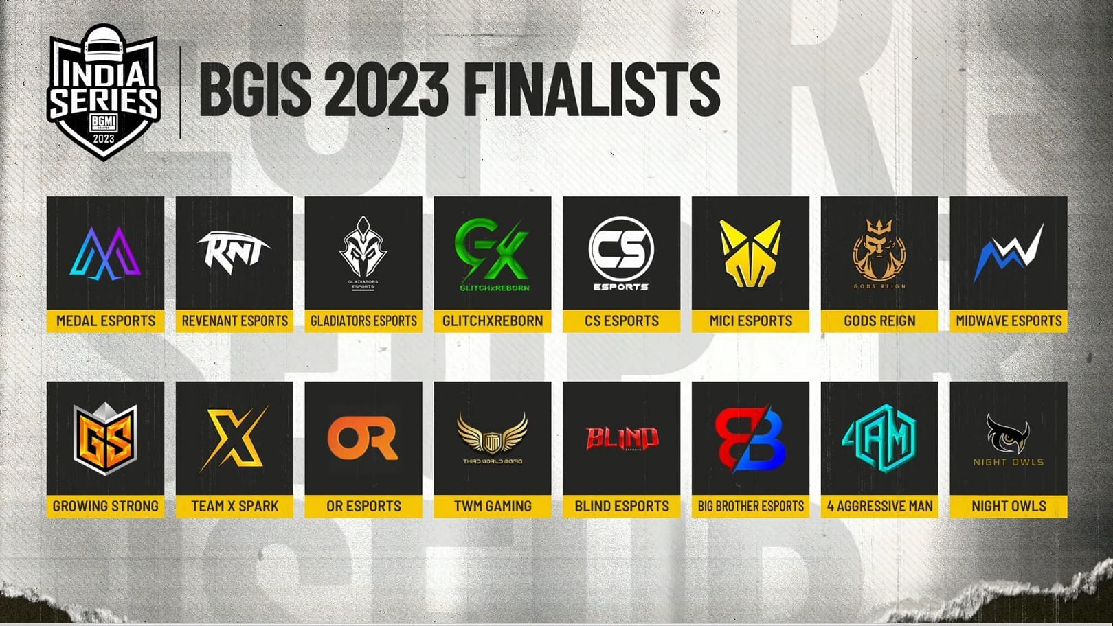 India Series 2023 Finalists (Image via BGMI)