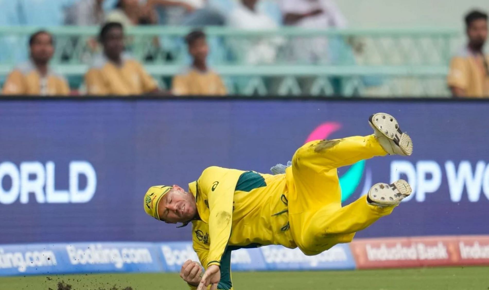 Warner has been a livewire in the field for Australia