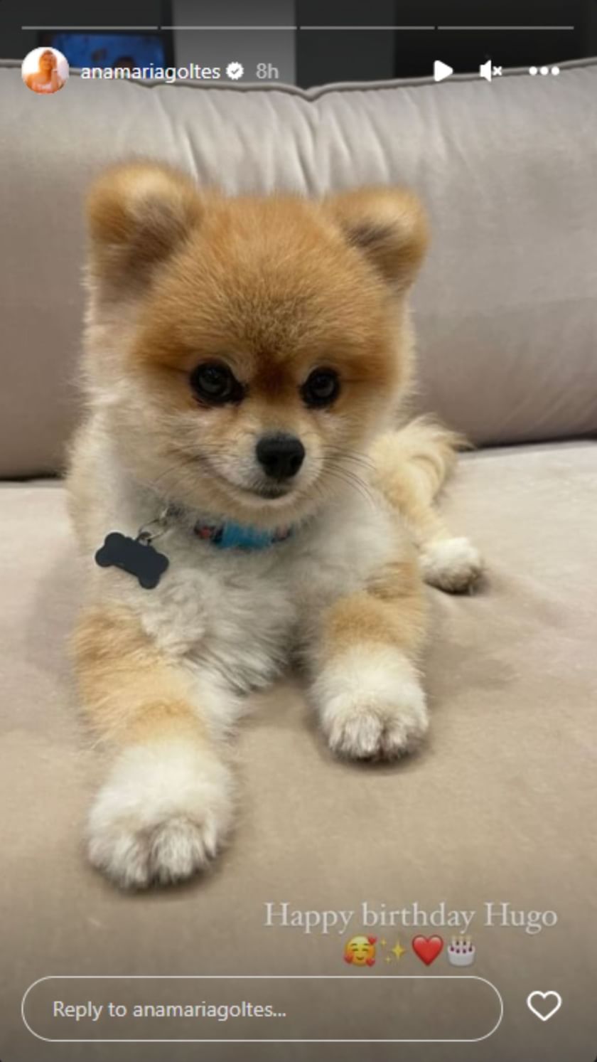 Luka Doncic’s fiancee, Anamaria Goltes, celebrates their dog Hugo’s