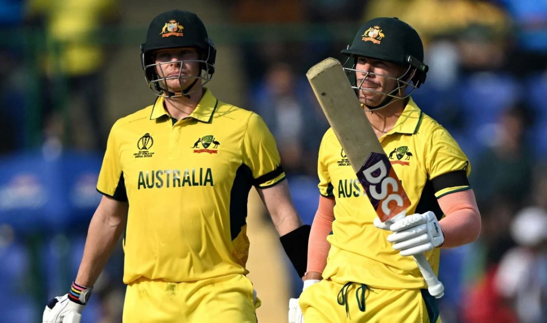 David Warner and Steve Smith put Australia in control with their 132-run stand.