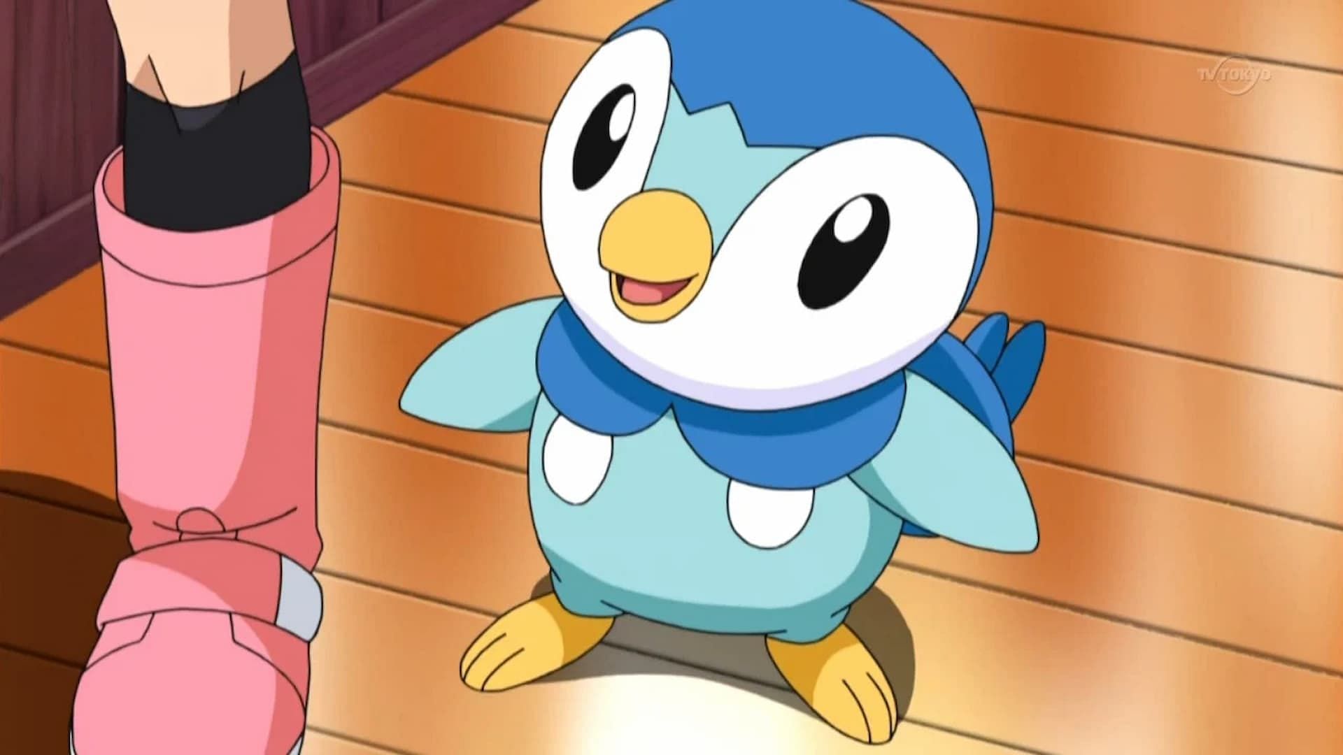 Piplup as seen in the anime (Image via TPC)