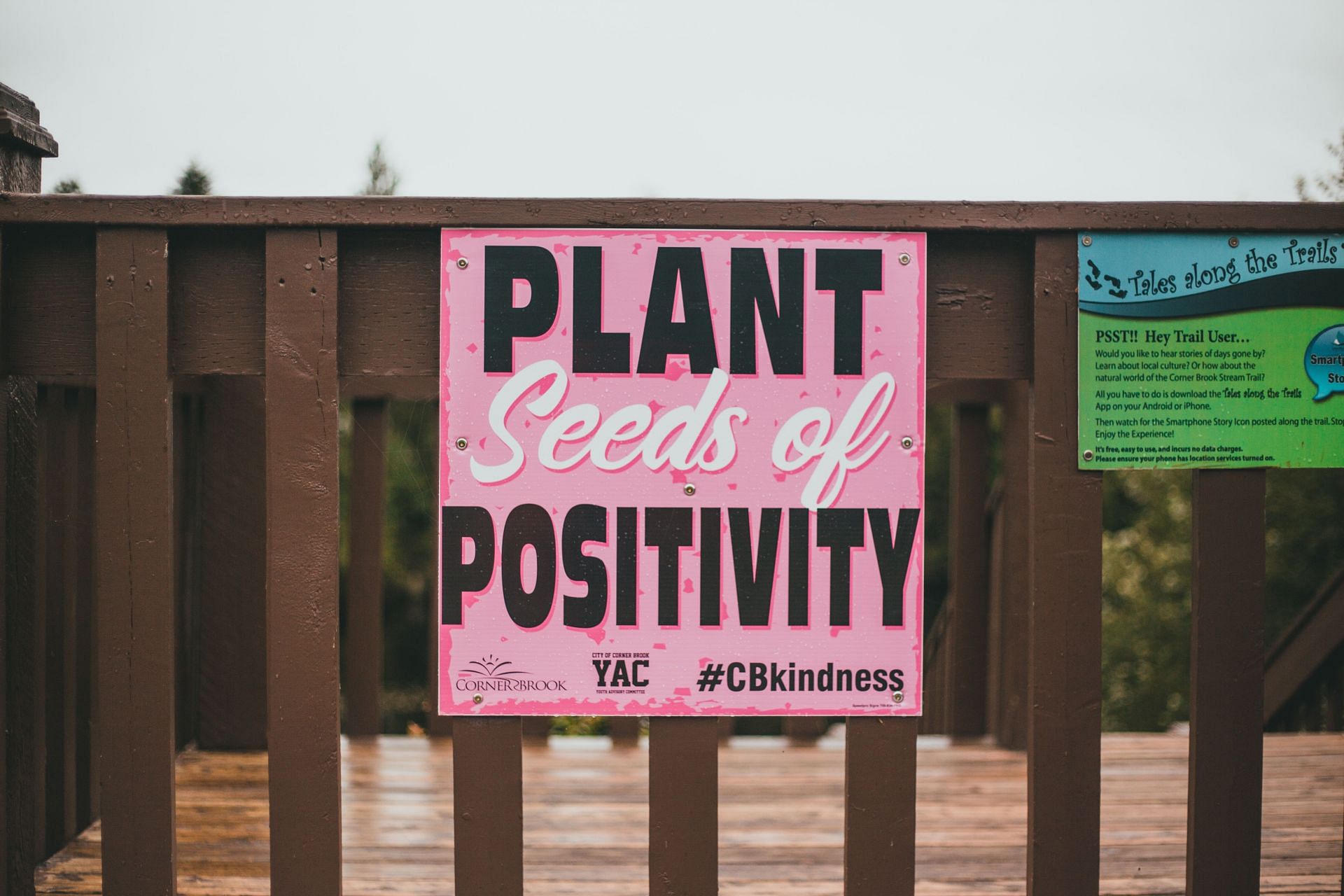 Plant seeds of positivity and not negativity. (Image via Unsplash/ Erik Mclean)