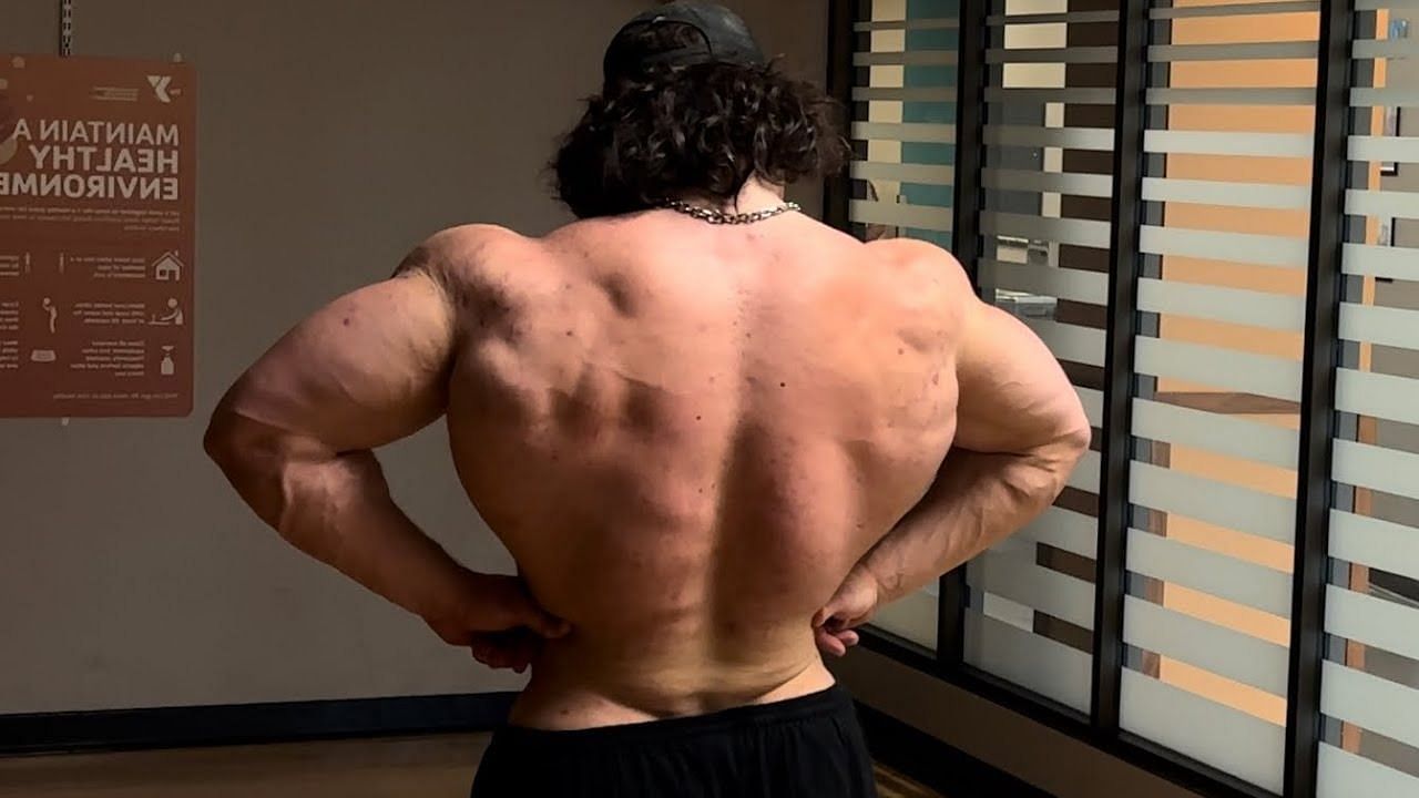 Back Exercises – Attack Huge Back & Training Programs