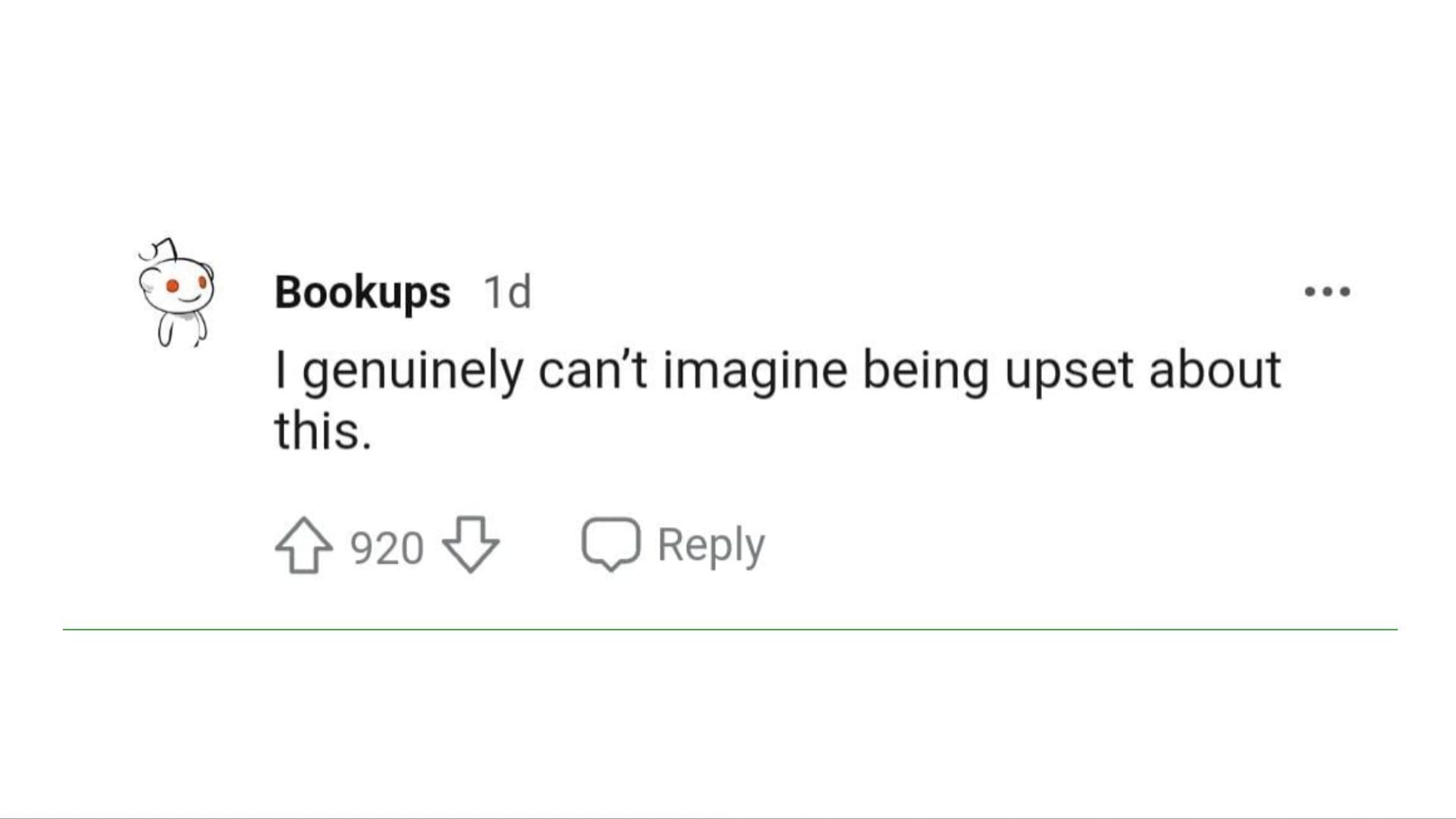 A netizen expresses that the backlash was needless. (Image via Instagram/Bookups)
