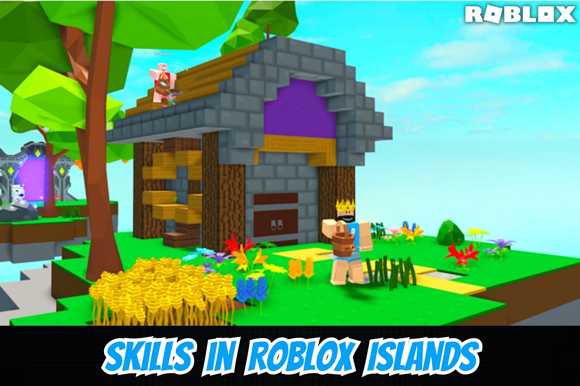 skills in Roblox Islands