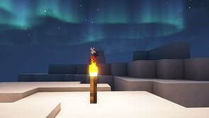 Minecraft player hilariously falls to death on a torch