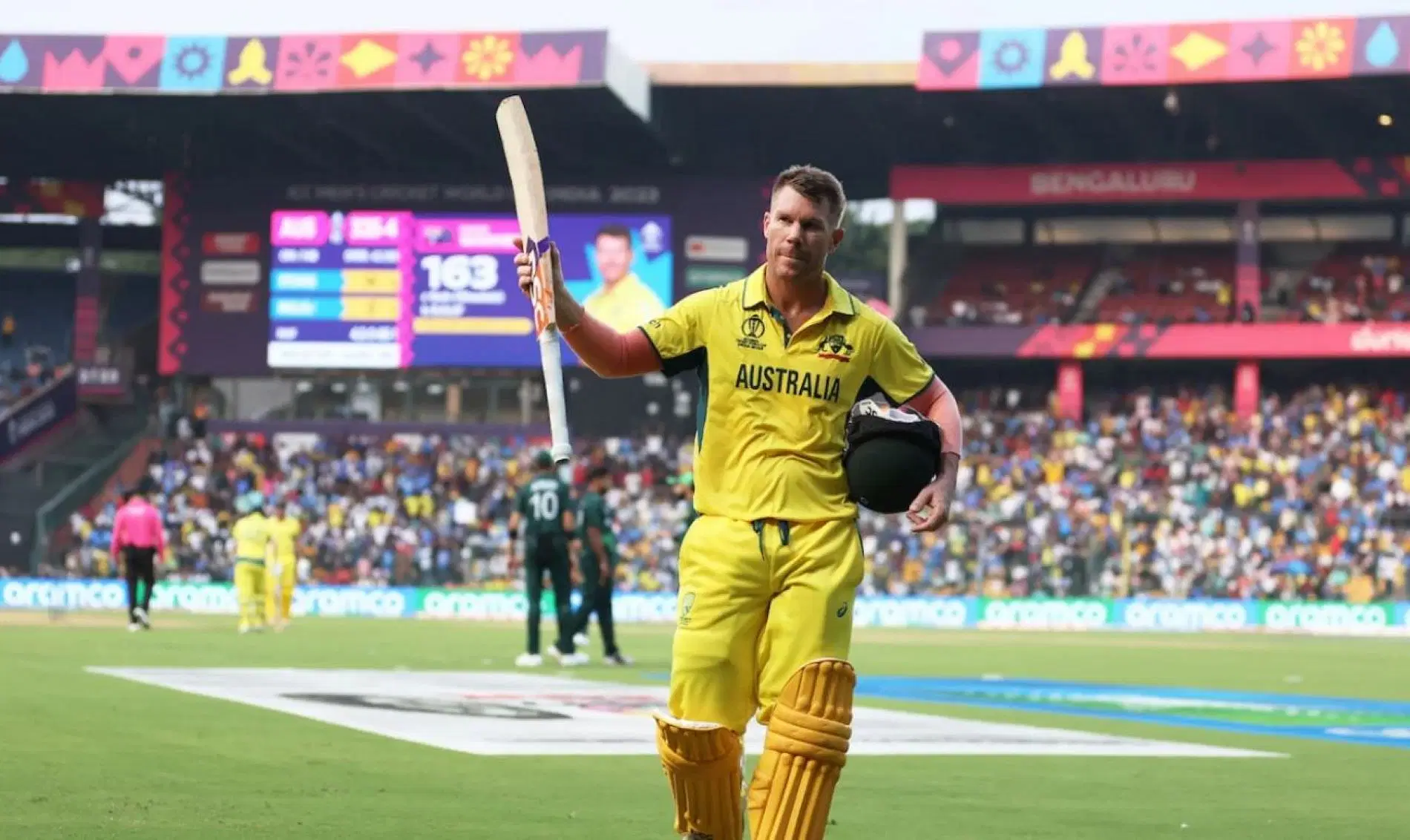 Warner thrilled the Bangalore fans with an incredible 163 against Pakistan