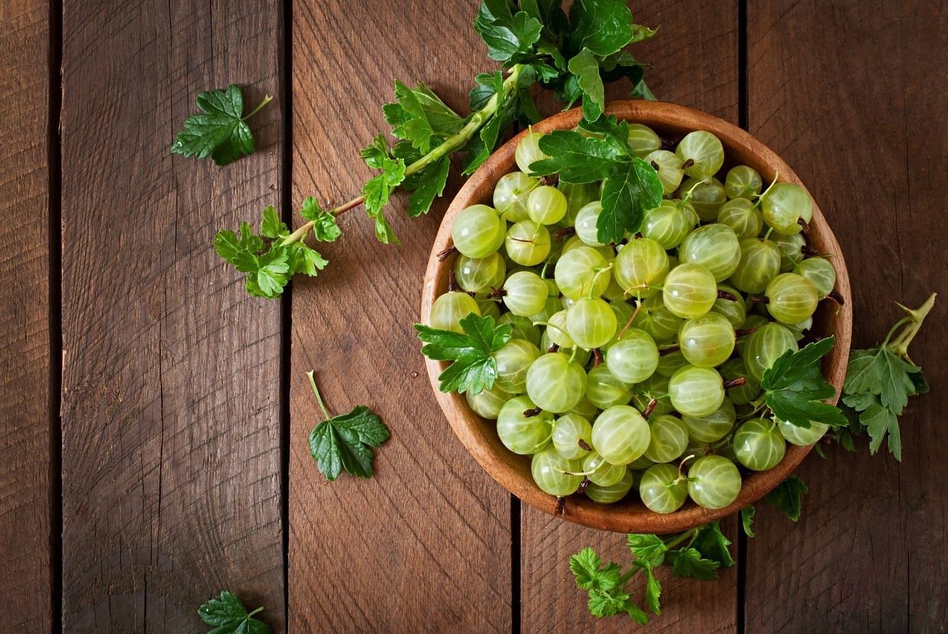 Amla is also known by the name of Indian Gooseberry (Image by Timolina on Freepik)