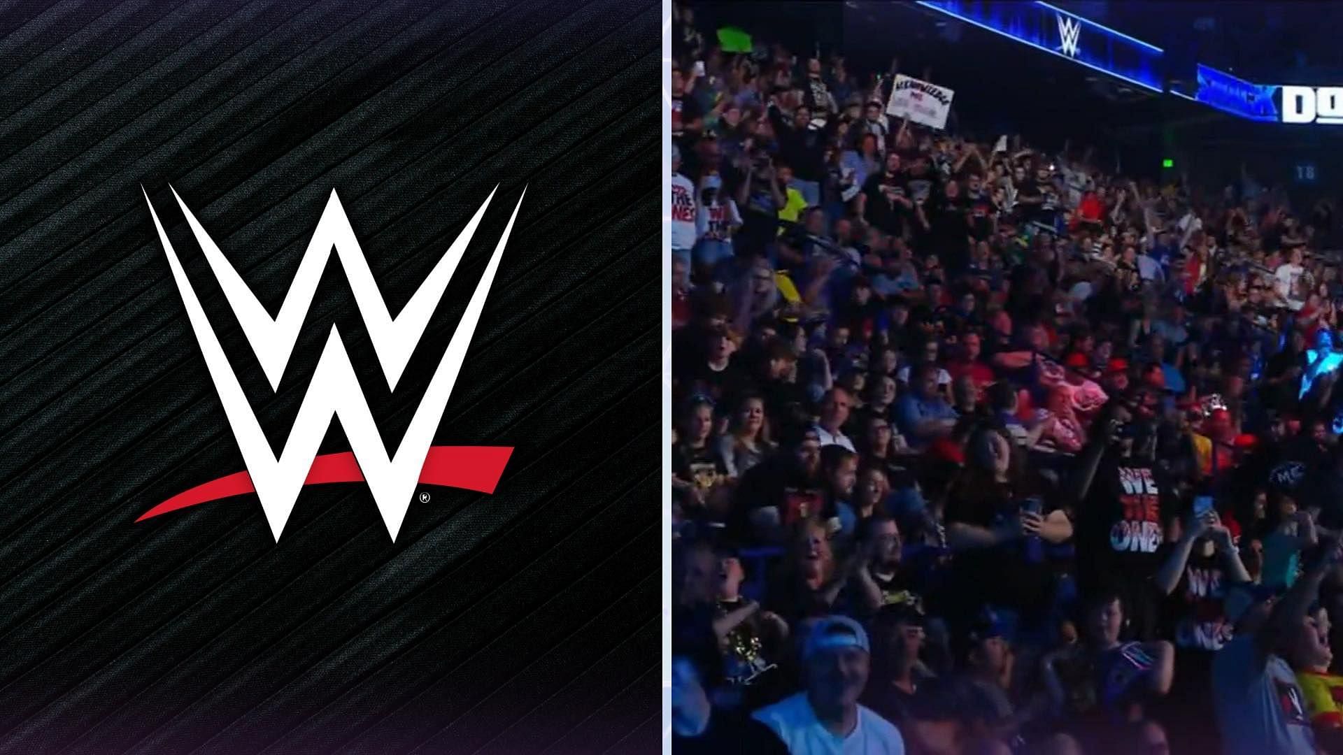 Wwe network in on sale 4k