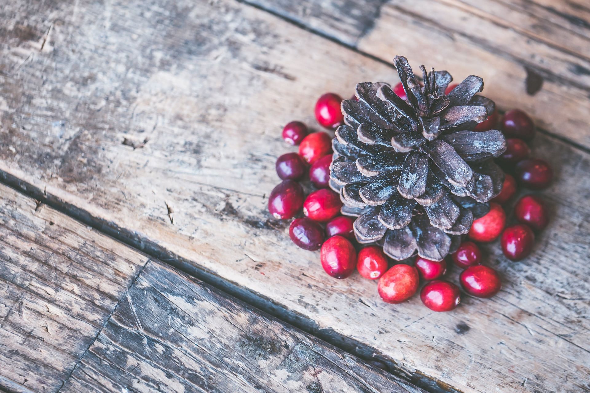 Tips to add red fruits and vegetables (image sourced via Pexels / Photo by jessica)