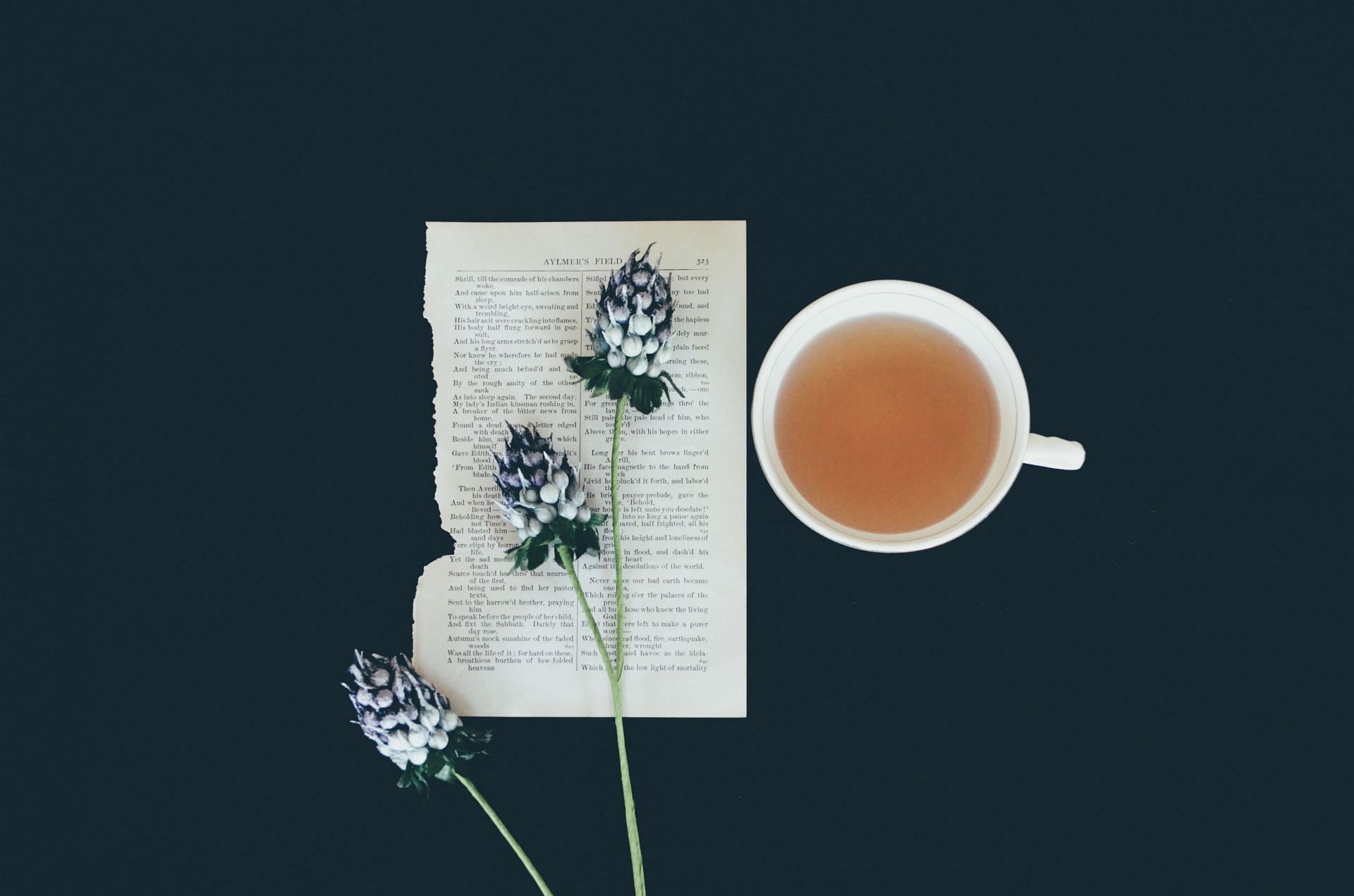 Fennel tea (Image via Unsplash/ Debby Hudson)