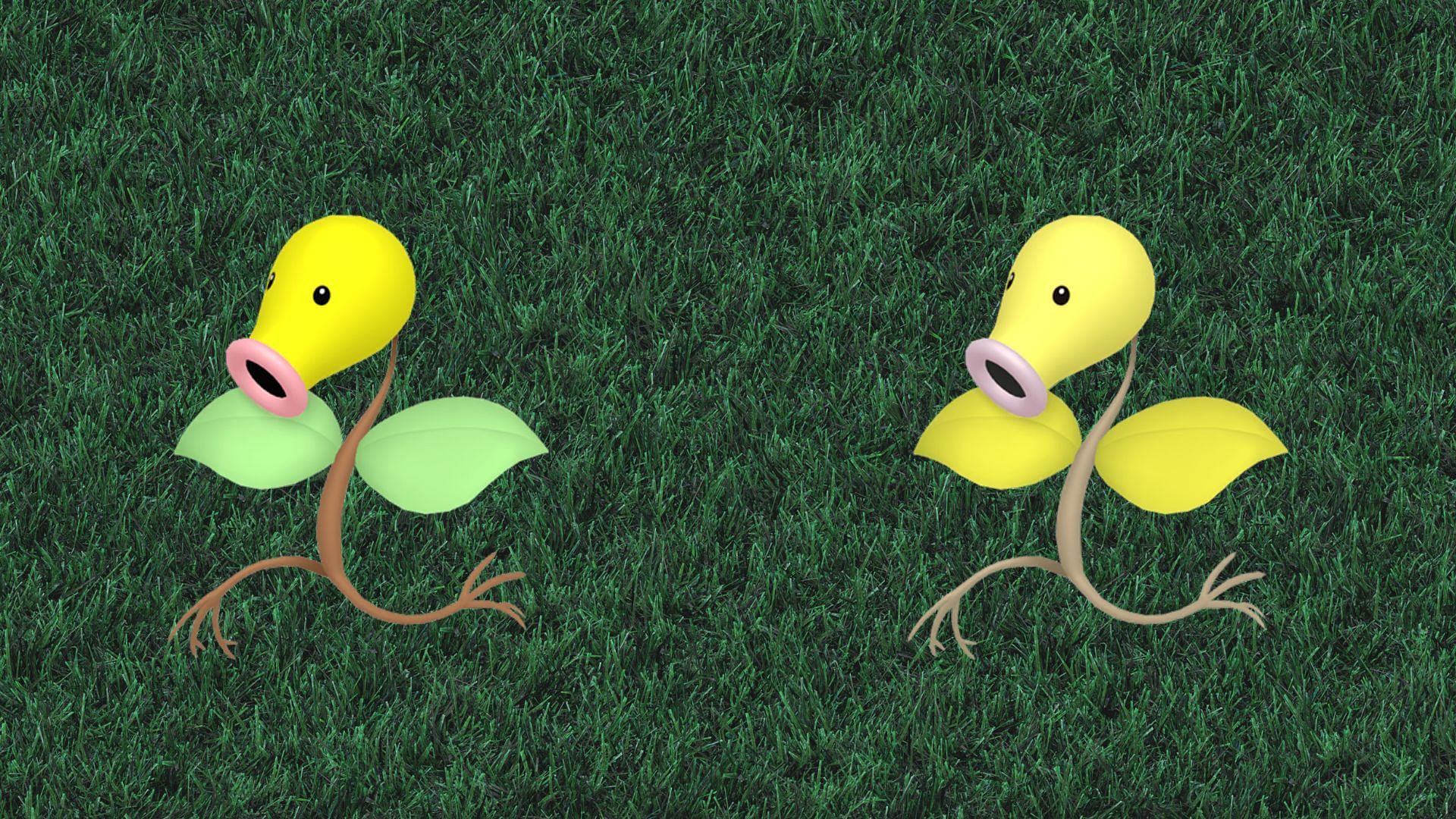 Regular and Shiny Bellsprout (Image via TPC)