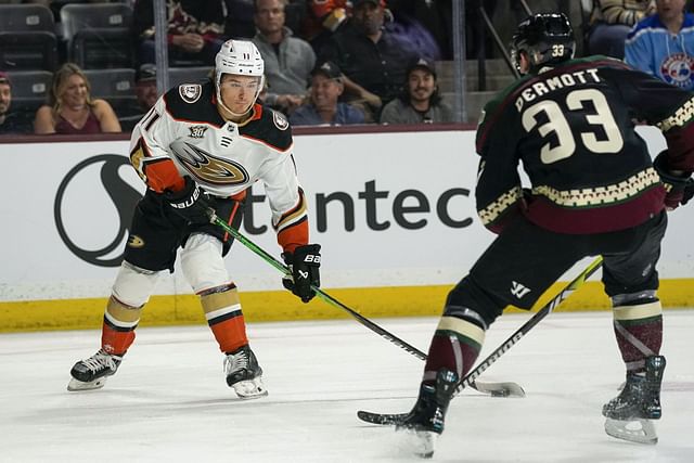 Ducks Coyotes Hockey