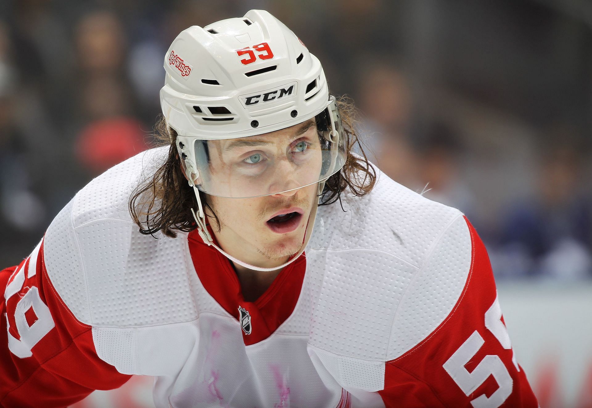 Tyler Bertuzzi Hockey Stats and Profile at