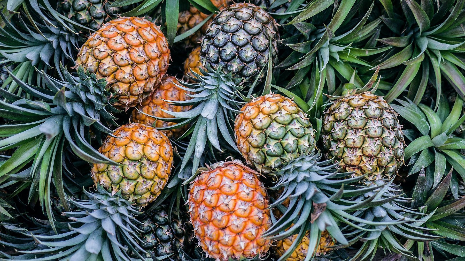 Pineapple (Image via Unsplash/Phoenix)