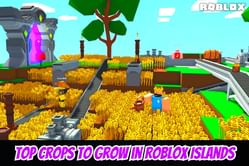 5 best crops to grow in Roblox Islands