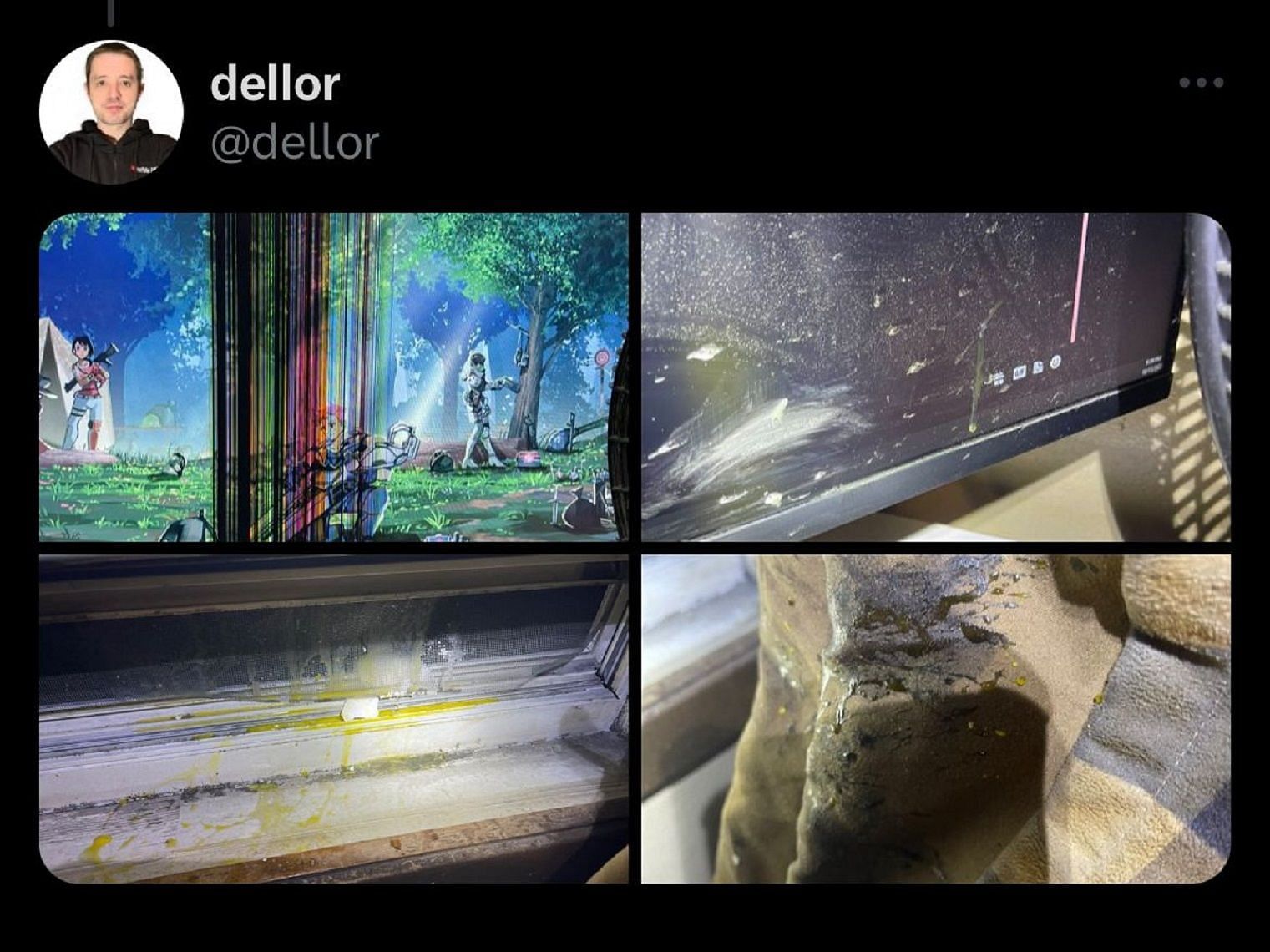 Dellor shares pictures of the egg attack (Image via X)