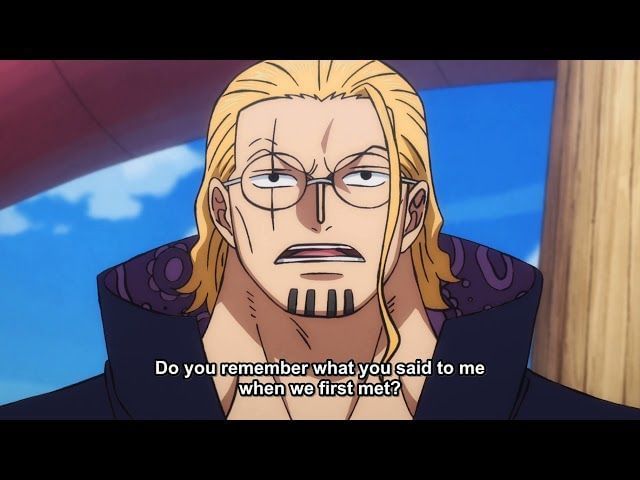 Unveiling the Similarities and Differences: One Piece Vice-Captains and Their Captains