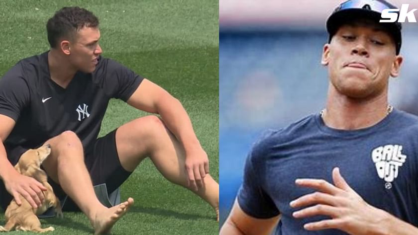 Fans react to photoshoot featuring Aaron Judge and his puppies