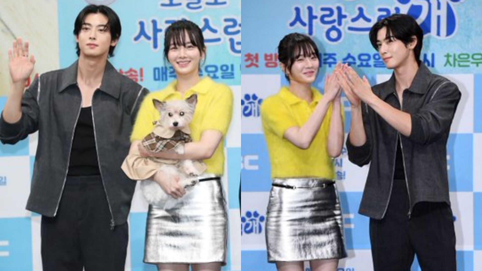 Cha Eun-woo and Park Gyu-young reveal what kind of dogs they would like to be in new interview (Image via X/@Notiziario_NC)