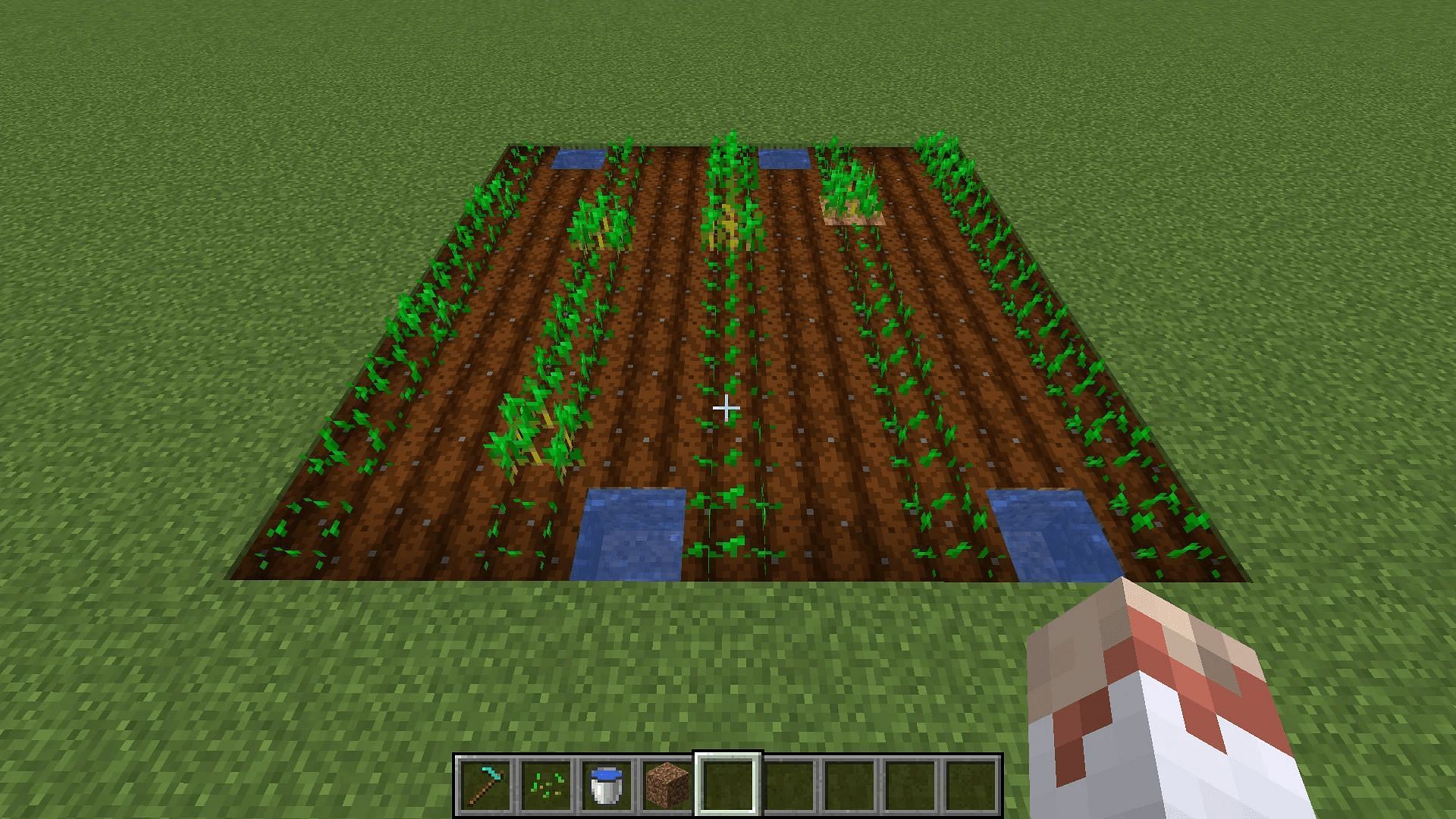 A basic crop farm will ensure players are fed for the foreseeable future (Image via Thattiguy/Reddit)