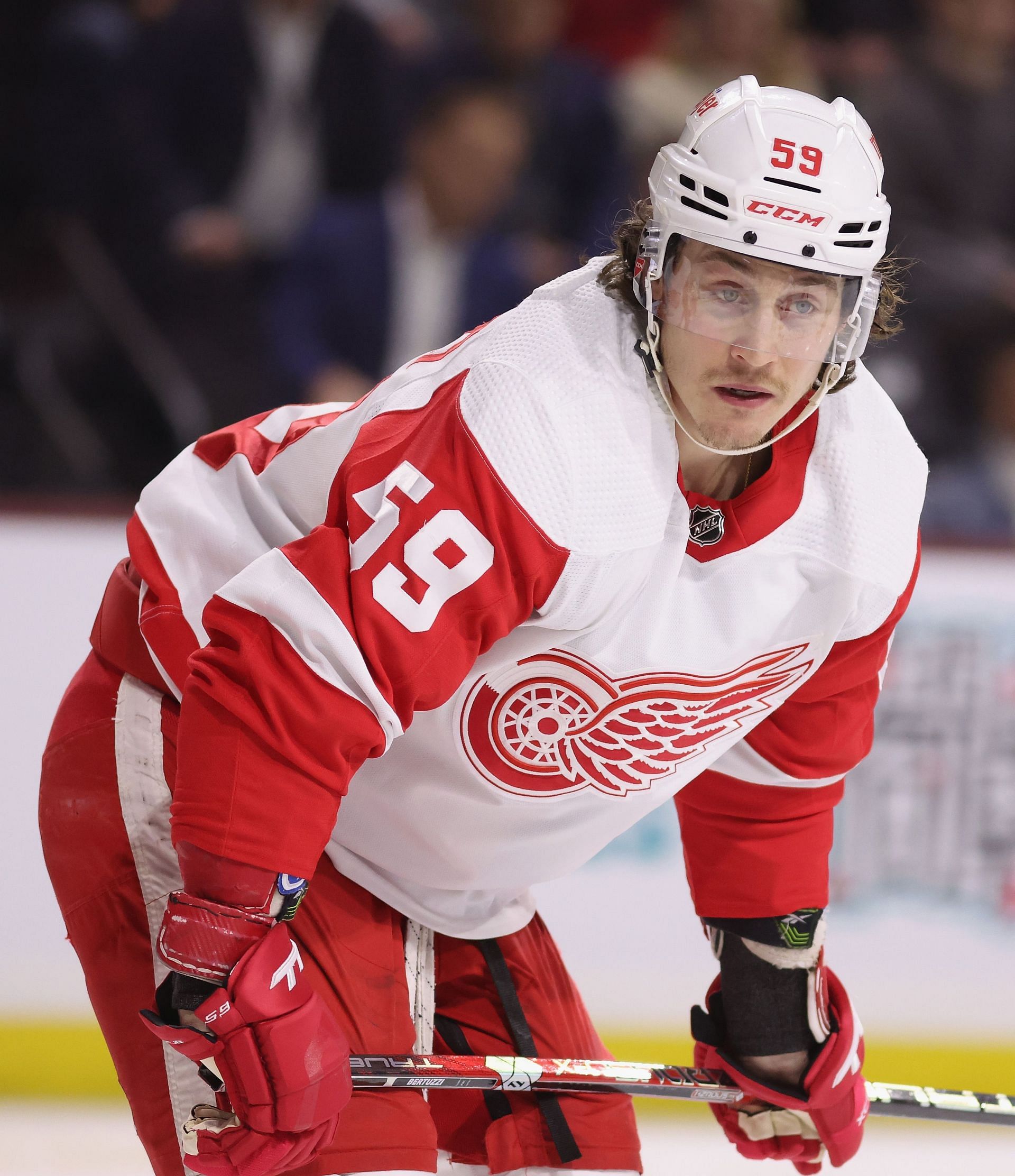 Tyler Bertuzzi Hockey Stats and Profile at