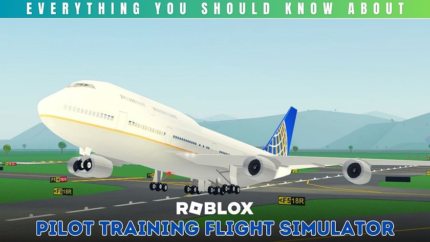 The Players, Roblox Airplane Story Wiki