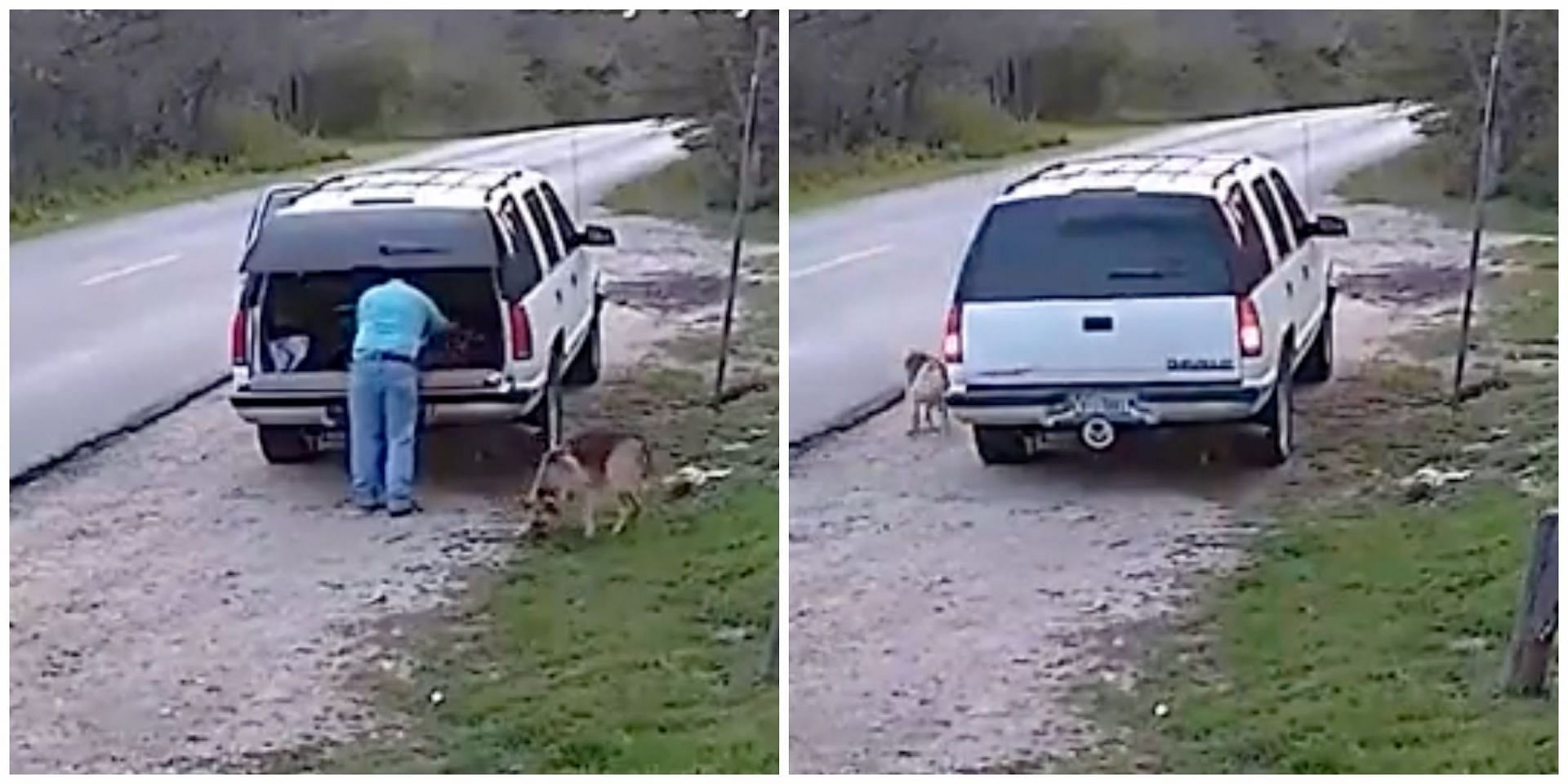 Social media users left all teary after a resurfaced video went viral on social media showing a Dallas man abandoning his canine. (Image via Dowdy Ferry Animal Commission)