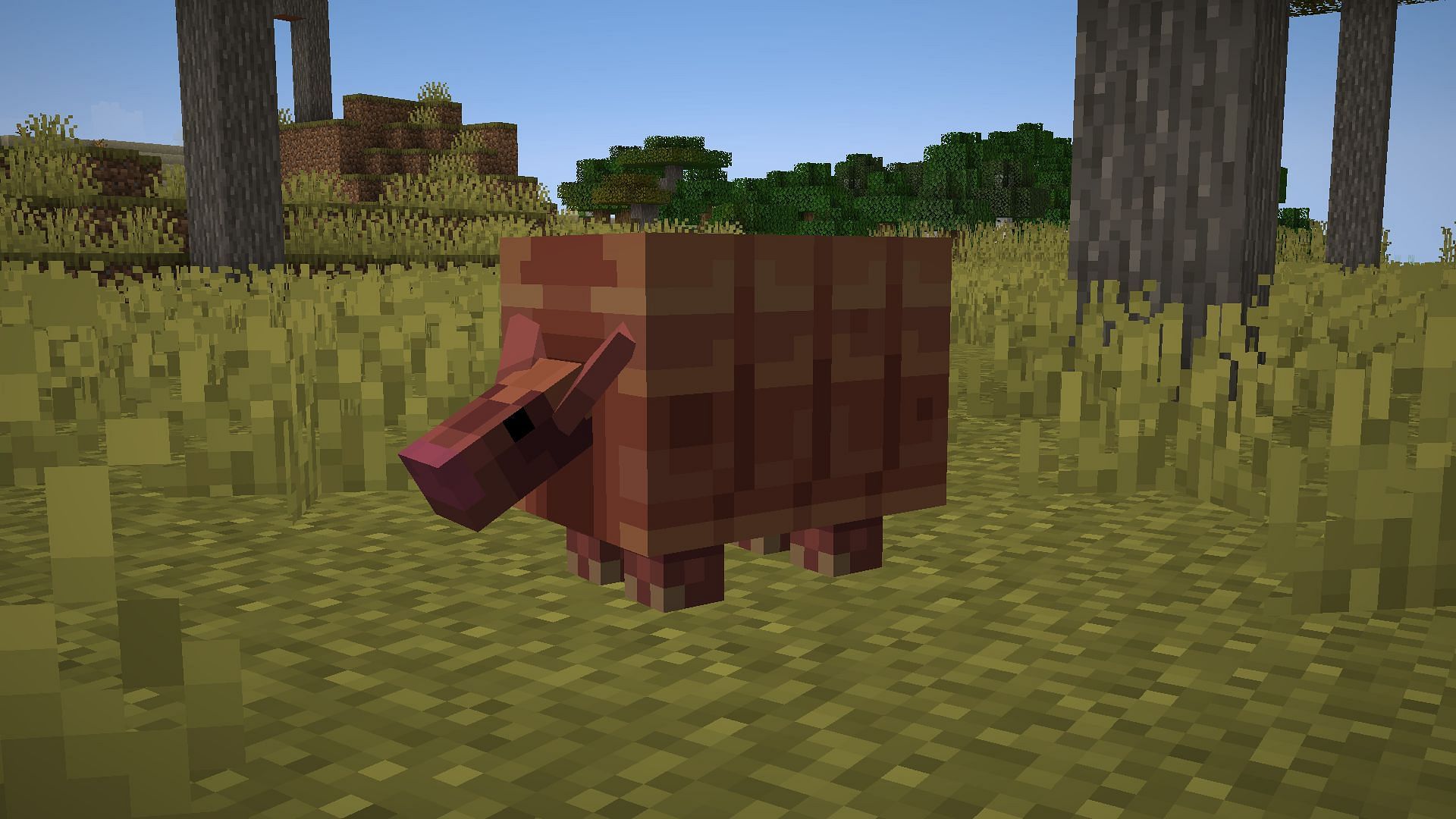 Armadillo a remporté le Mob Vote 2023 et sera ajouté à la mise à jour Minecraft 1.21 (Image via CurseForge)