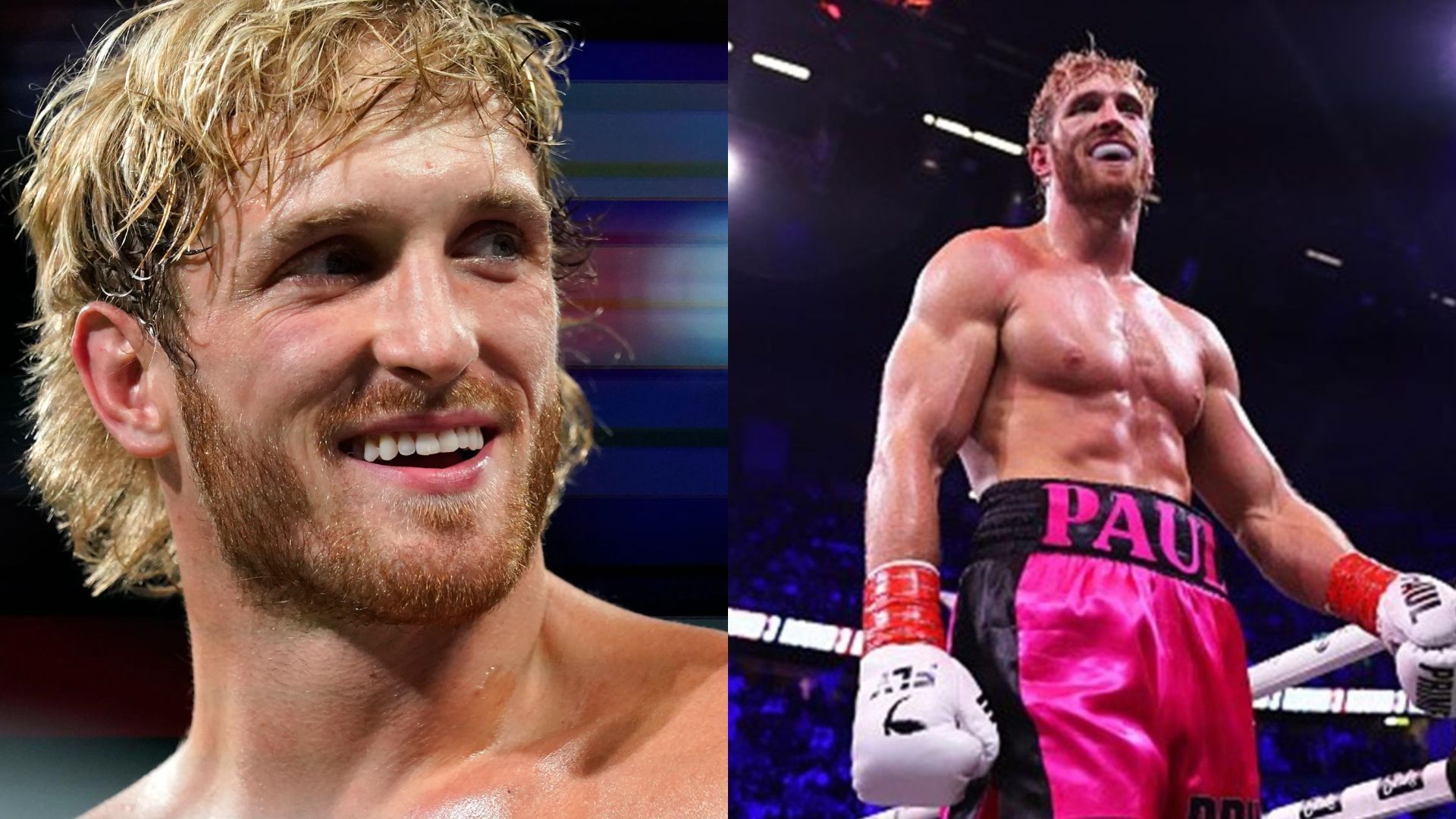 Logan Paul was victorious over Dillon Danis